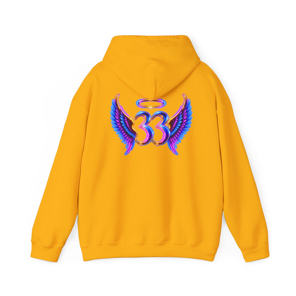 C33 HOODIE